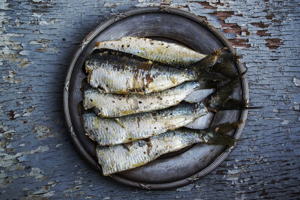 sardines-1489630_1920.jpg